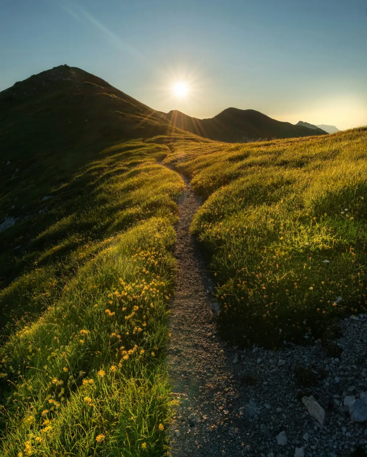 Spaziergang in der Natur